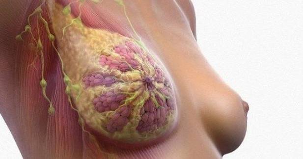 Süd vəzi biopsiyası nədir?
